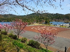 いいお天気です