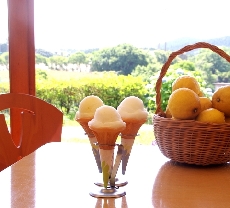 みかんドーム、休憩スペースより