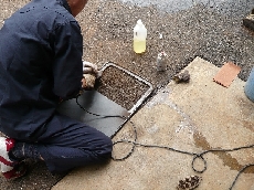 BBQ台を磨いて綺麗にしてます。