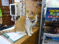 受付嬢いさみも気合入れて準備しております。