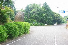 入口からあじさいのお出迎え