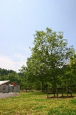 くつろぎの空間