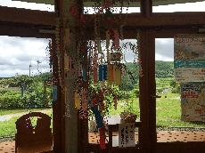 少し小さいですが、願いが届きますよーに!