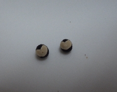 なぜハート型？