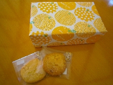 「シトラスサブレ」です！おいしかごとしとらすねぇ