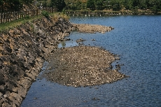 いつもは水の下です