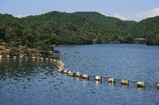 岩が出てきたので、赤旗を立てました