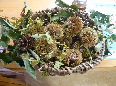 体験交流センターの受付にもくりが♪