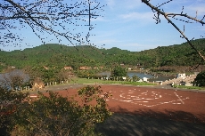 秋の装いを待つ伊佐ノ浦公園