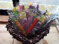 パラシュートの紐で編んだ頑丈なパラコードブレス。