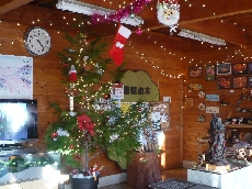 明るいときはこんな感じです。