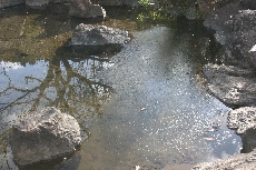 薄っすらと氷が・・・寒いはずです！