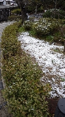 園内にちょこっと雪景色！