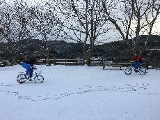 イ～ヌは喜び庭かけまわり♪