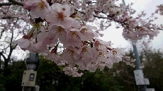 まってました！