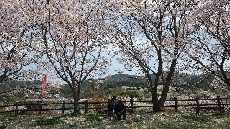 ピンク色の谷でいさみちゃんと写真撮影♡