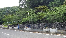 少数精鋭のうちのスタッフです！ちょっと遠目だね(^_^;)