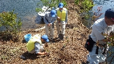はまぼう植樹(周回道途中)