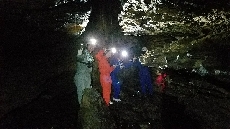 前日の雨の影響で水滴も増えてます！