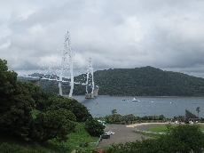 大島大橋～公園のアガパンサス満開です！