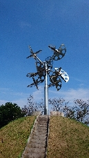 新宮 晋さんによる「星のなる木」