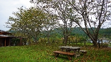 体験交流センター裏の芝生にも沢山の落ち葉が・・・