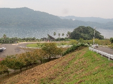 斜面の草刈り中です。