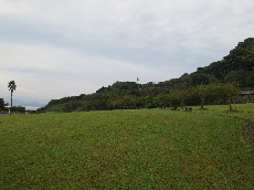 芝生もとてもひろびろとなり綺麗に！