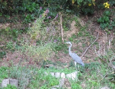 美味しい～！！！