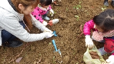 たくさんあるかな