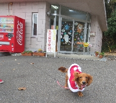 こんにちは！「いちご」です❤