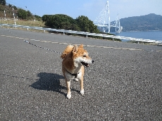 潮風に揺られてご機嫌♪♪♪