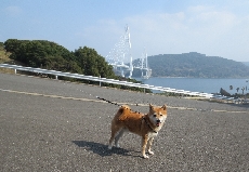 「僕、寅次郎です！」キメッ！！