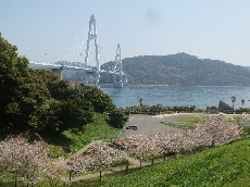 今日の大島大橋公園♪
