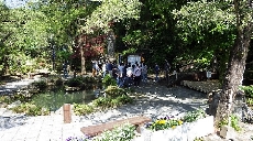 新緑も映えて、いい季節です！