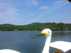 レンタルボート